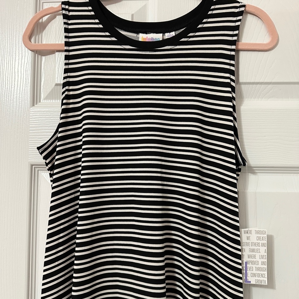 BNWT LuLaRoe Charlotte dress